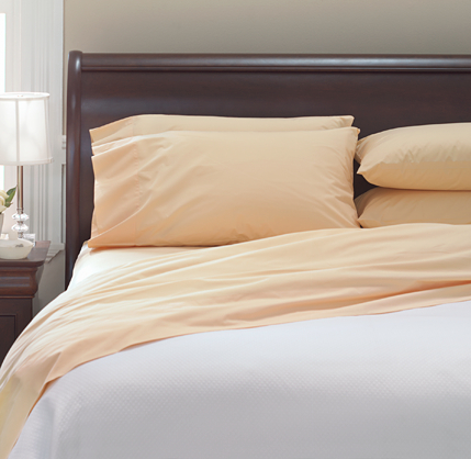 Italian 464 Percale Sham
