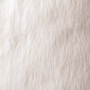 Arctic Fox