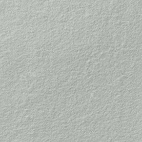 Silver Sage