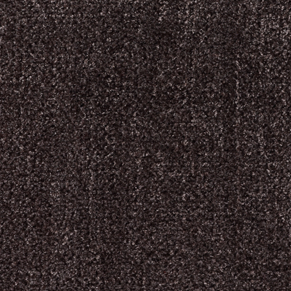Charcoal