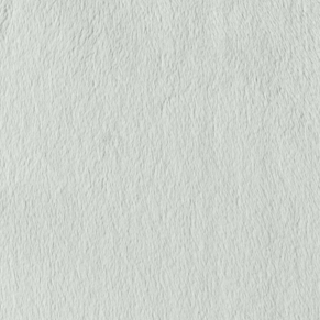 Light Silver Sage