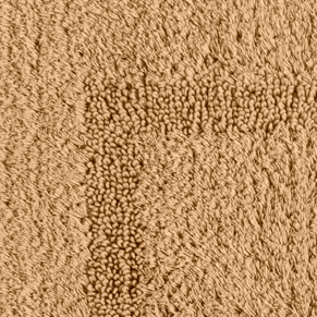 Maize