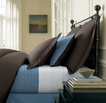 Reversible Silk Euro Sham