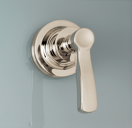 Asbury Handheld Shower