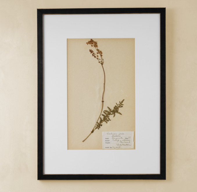 Botanical Pressing