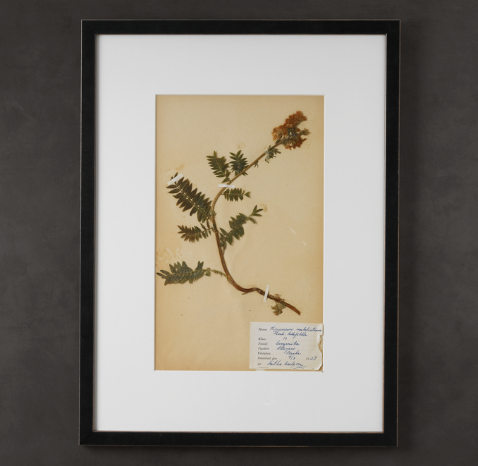 Botanical Pressing