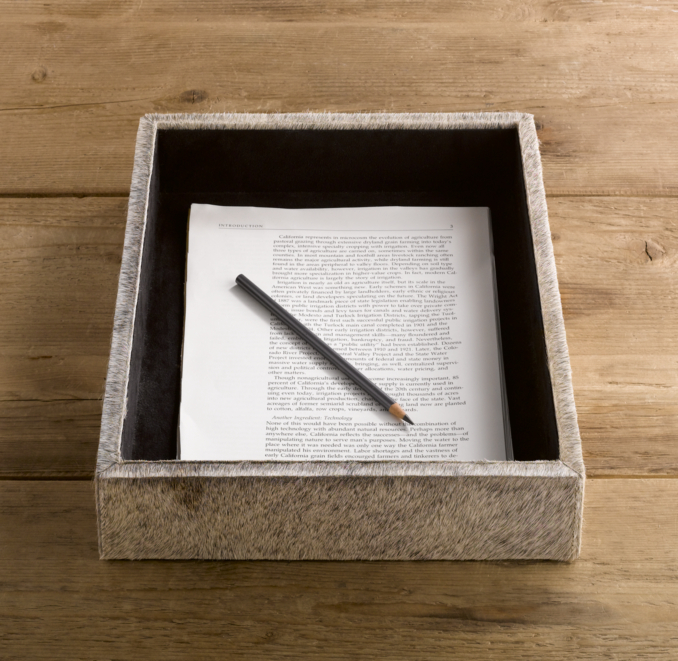 Hair-on Hide Letter Tray