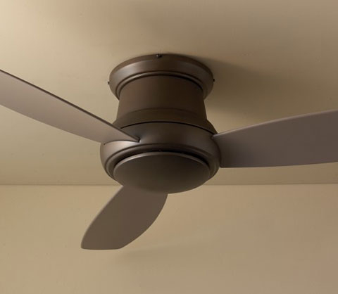 Concept Fan