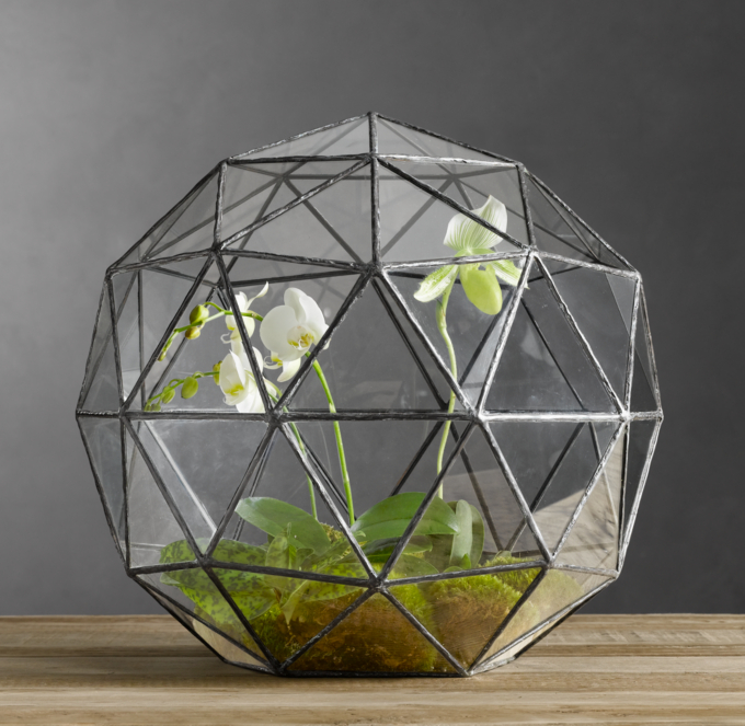 Geodesic Terrarium