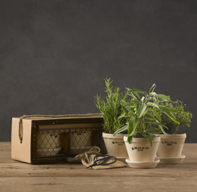 Guy Wolff Culinary French Herb Kit