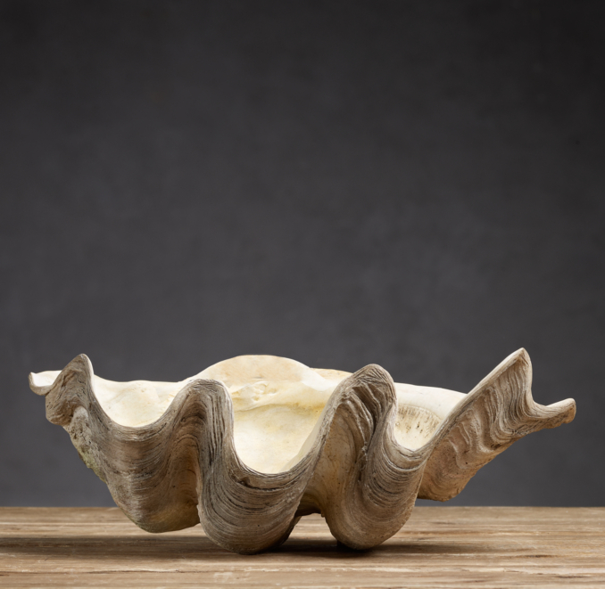 18th C. French Rocaille Clamshell Medium