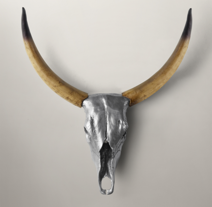 Steer Horns in Aluminum