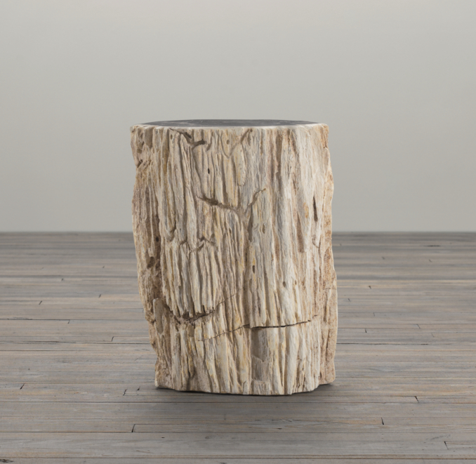 Petrified Wood Side Table Mixed (Set of 2)