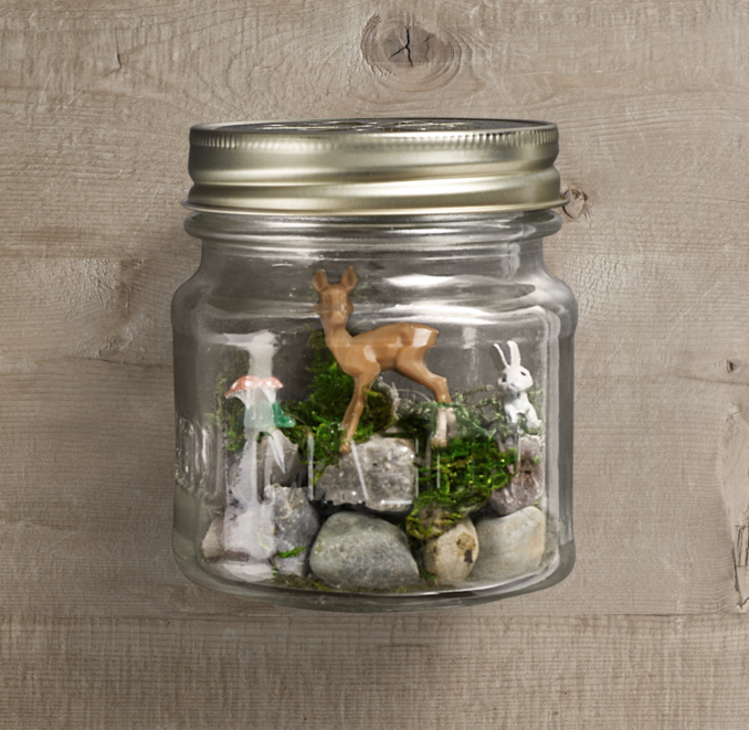 Tiny Terrarium Kit