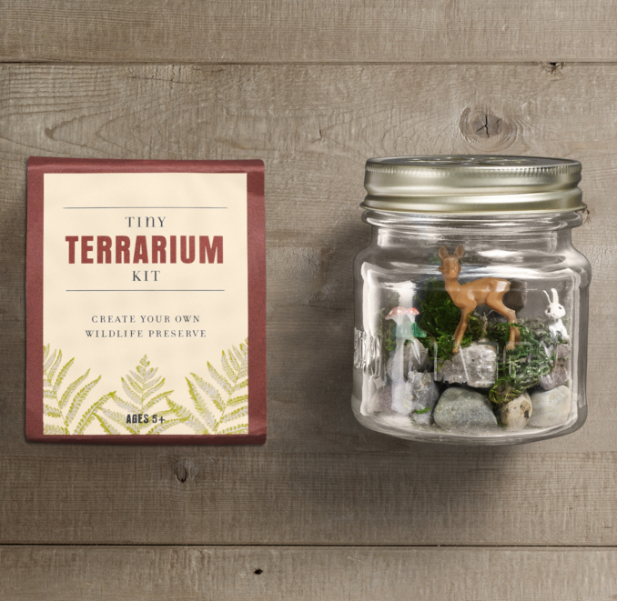 Tiny Terrarium Kit