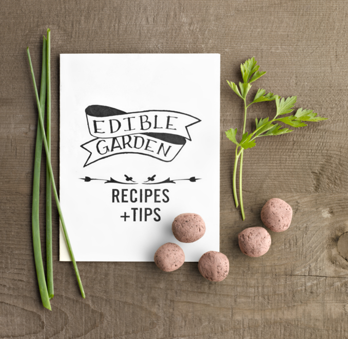 Edible Garden Kit