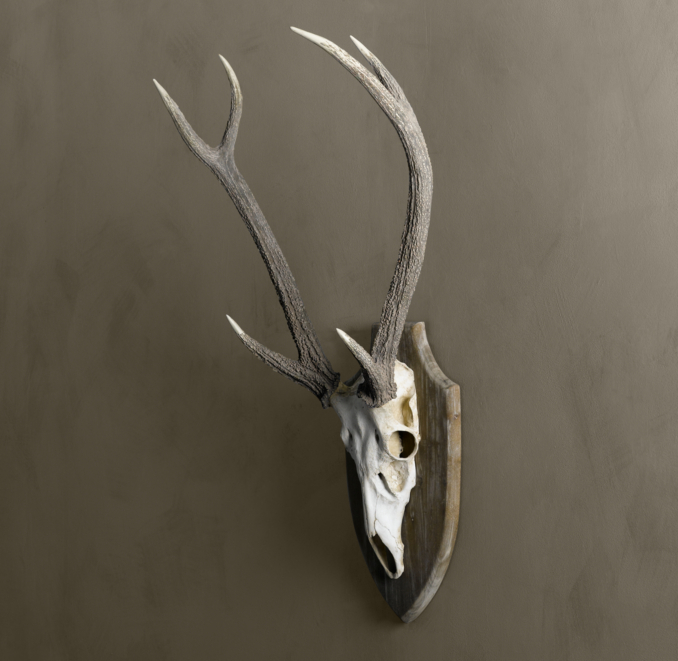Deer Head in Cast Resin