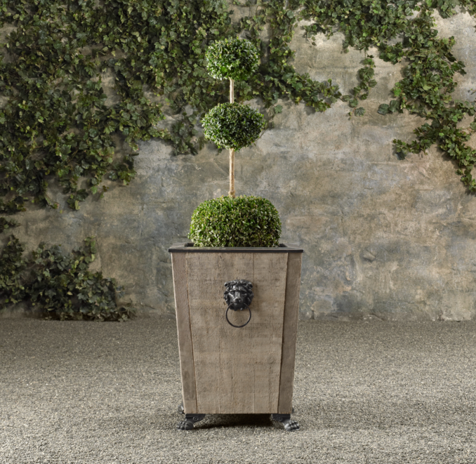 Triple Ball Live Boxwood Topiary 