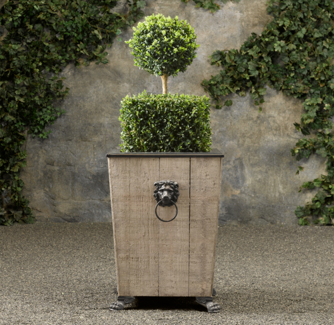 Ball over Cube Live Boxwood Topiary