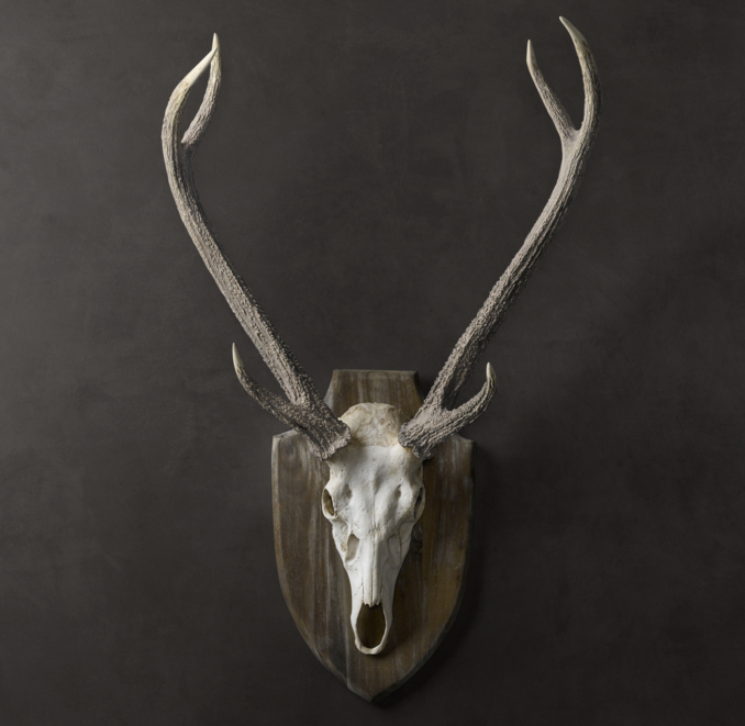 Deer Head in Cast Resin