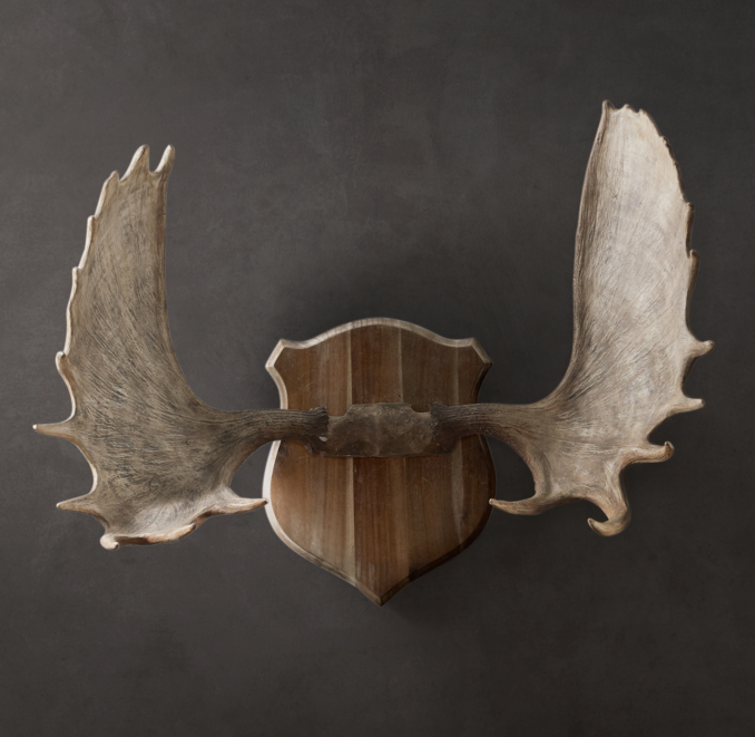 Moose Antlers in Cast Resin