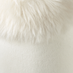 Arctic Fox