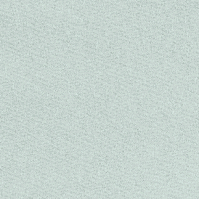 Light Silver Sage