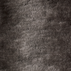 Chinchilla