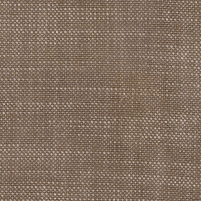 Mocha