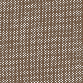 Mocha