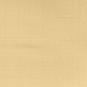Goldenrod