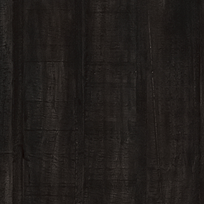 Black Pine