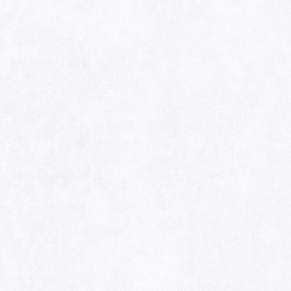 Optic White