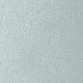 Eucalyptus