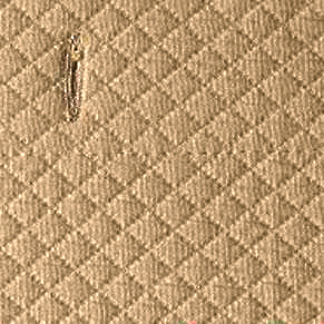 Maize