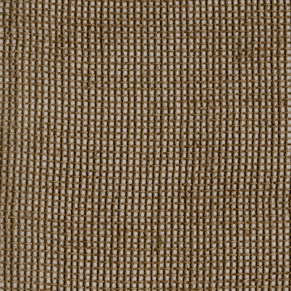 Mocha