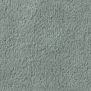 Eucalyptus