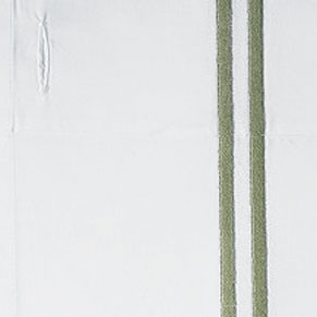 Celery