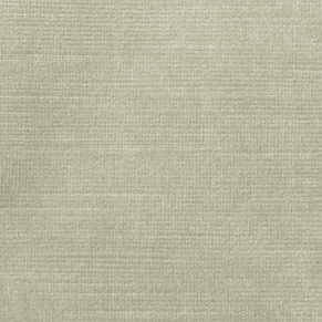Eucalyptus