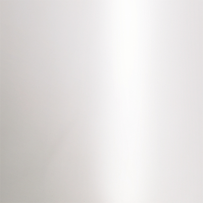 Polished Stainless Steel 