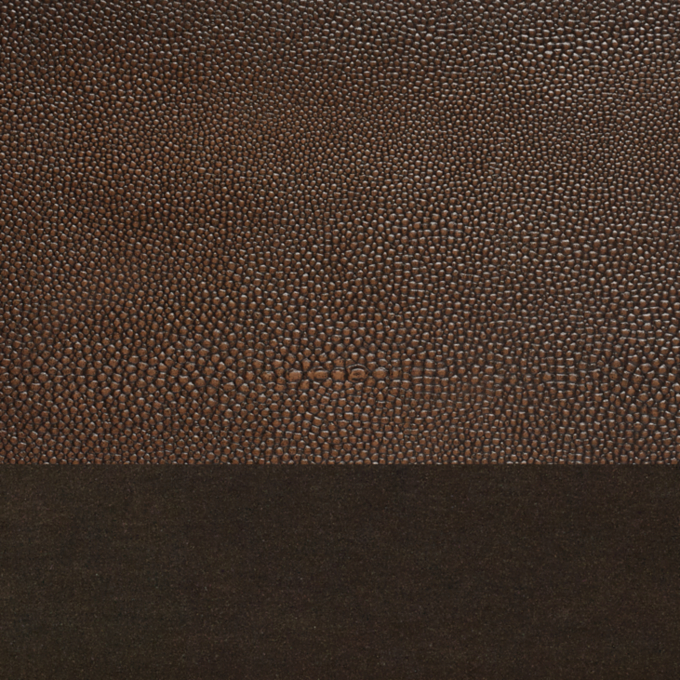 Mocha Shagreen/ Bronze 