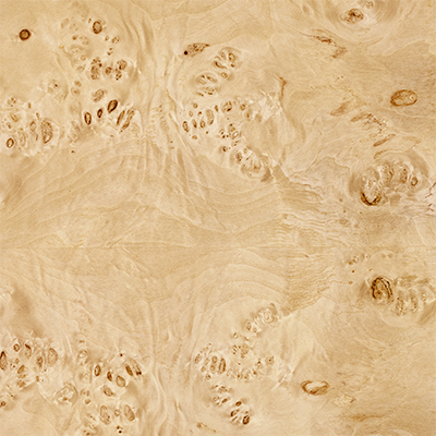 Blond Mappa Burl 