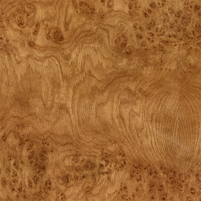 Caramel Oak Burl 