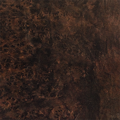 Espresso Walnut Burl 
