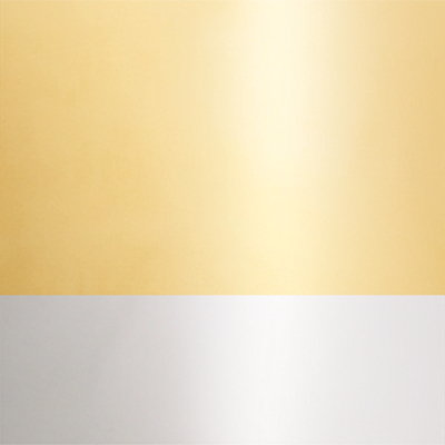 Polished Brass Frame/Polished Stainless Steel Screws 