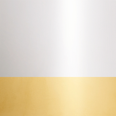 Polished Stainless Steel Frame/Polished Brass Screws 