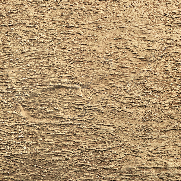 Antiqued Brass 