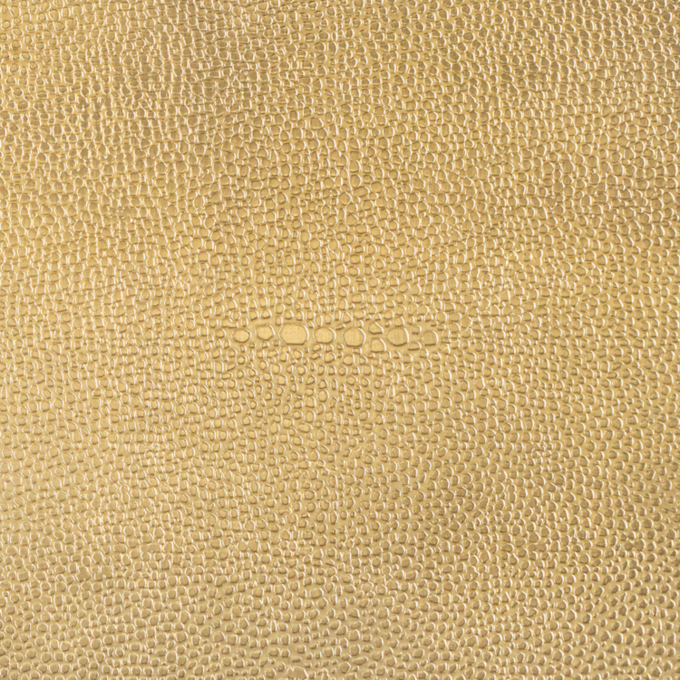 Polished Brass Shagreen 
