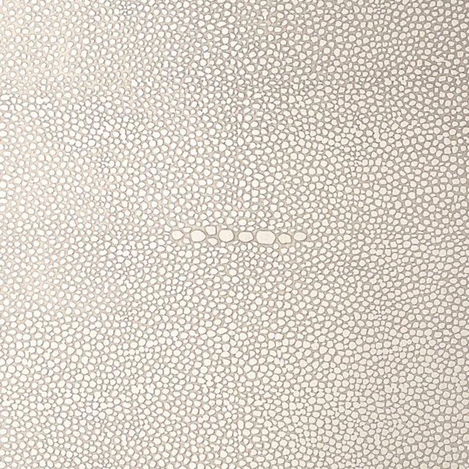 Polished Nickel Shagreen 