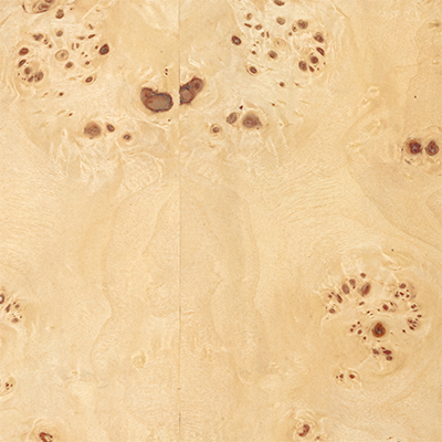 Matte Blond Mappa Burl
